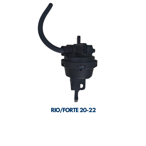 VALVULA DE PURGA RIO/ACCENT 20-22