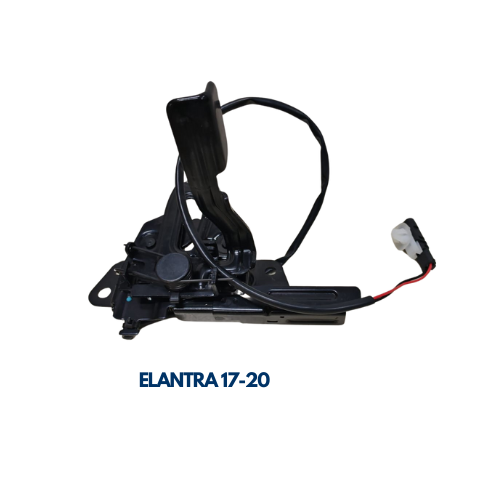 CHAPA DE CAPO HYUNDAI ELANTRA 17-20 NUEVO
