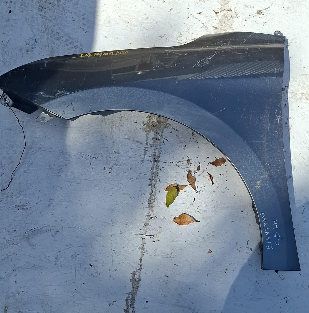 GUARDAFANGO LH HYUNDAI ELANTRA 2019
