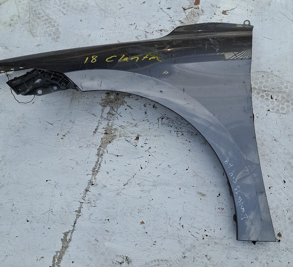 GUARDAFANGO LH  HYUNDAI ELANTRA 2018