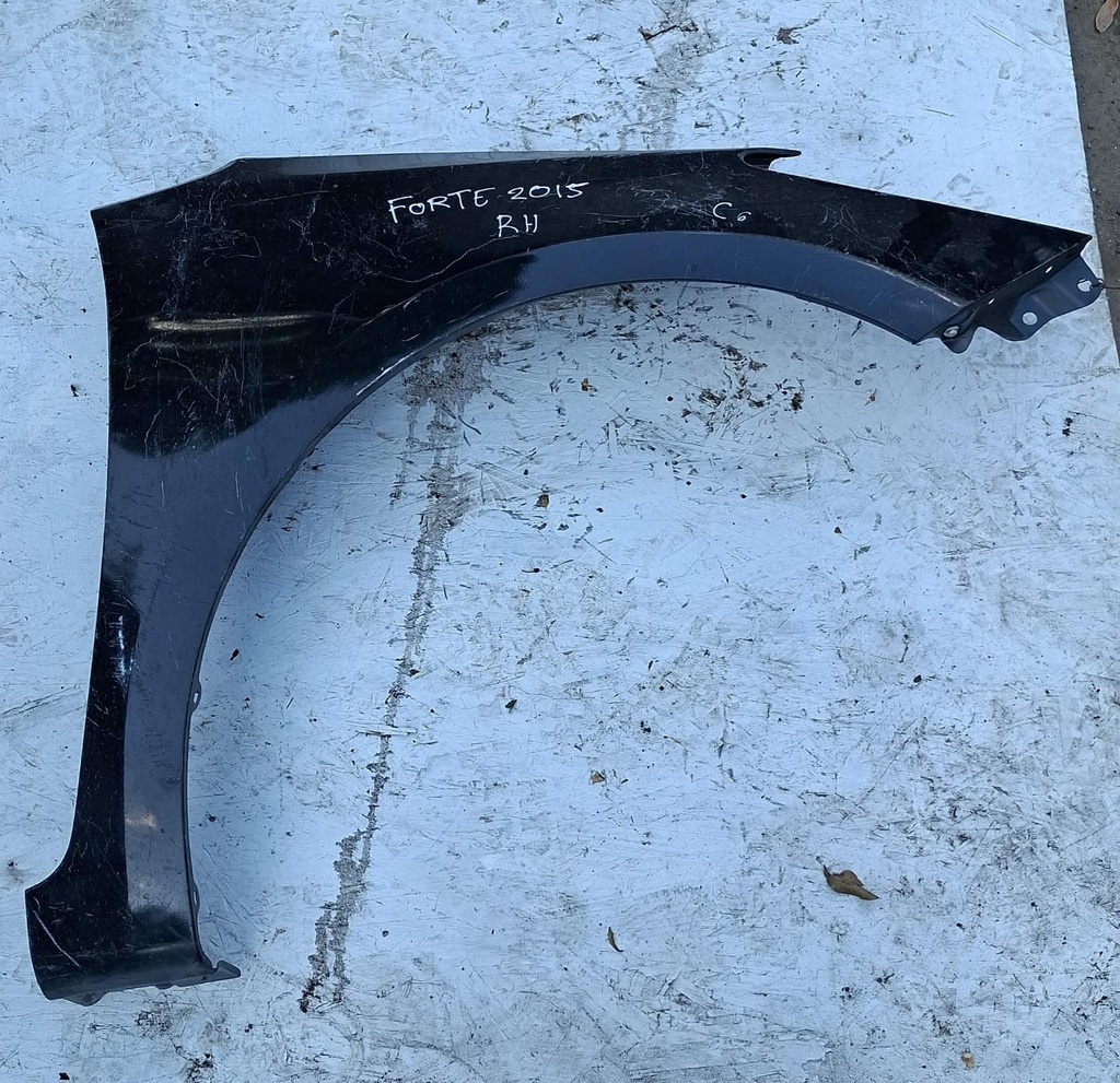 GUARDAFANGO RH KIA FORTE 2015