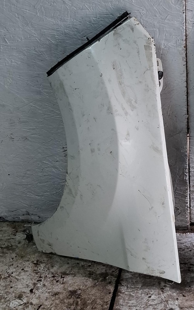 GUARDAFANGO LH FORD ECOSPORT 2021