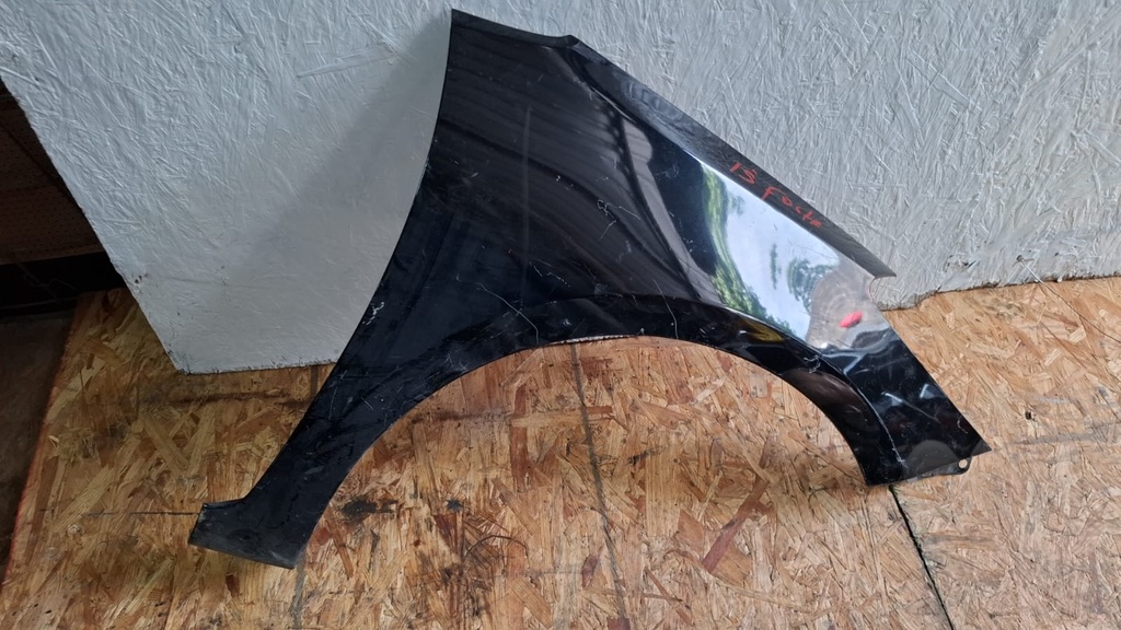 GUARDAFANGO RH FORTE 2015