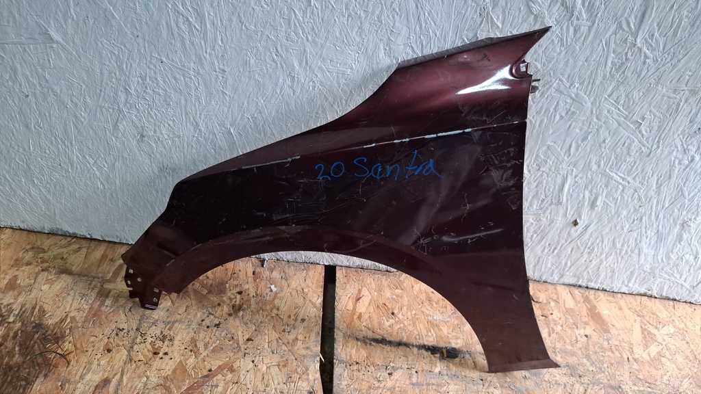 GUARDAFANGO LH SENTRA 2020